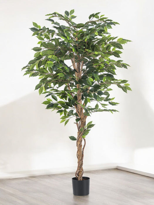 Ficus - Albero Artificiale