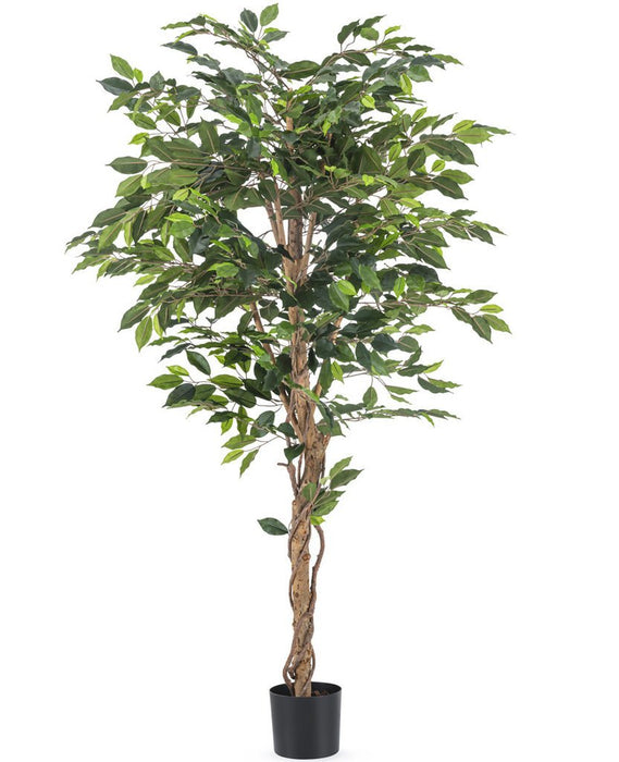 Ficus - Albero Artificiale