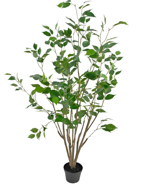 Ficus - Albero Artificiale