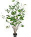Ficus - Albero Artificiale