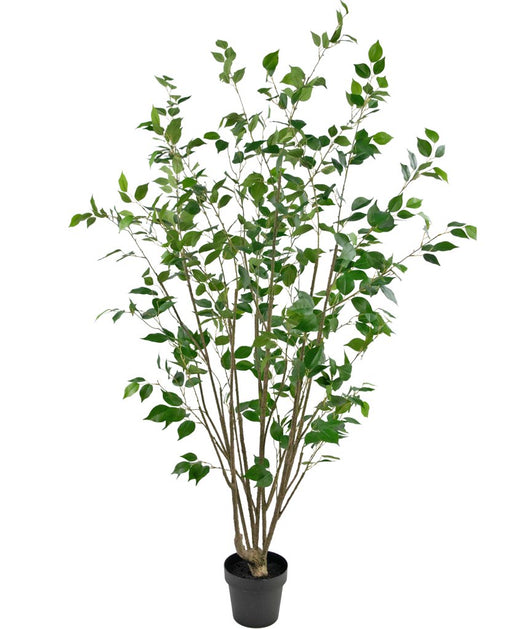 Ficus - Albero Artificiale