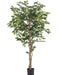 Ficus - Albero Artificiale