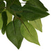 Ficus Artificiale 1260 Foglie 200 Cm Verde