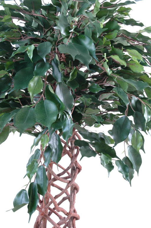 Ficus Artificiale Pianta Da Appartamento Verde 170 Cm