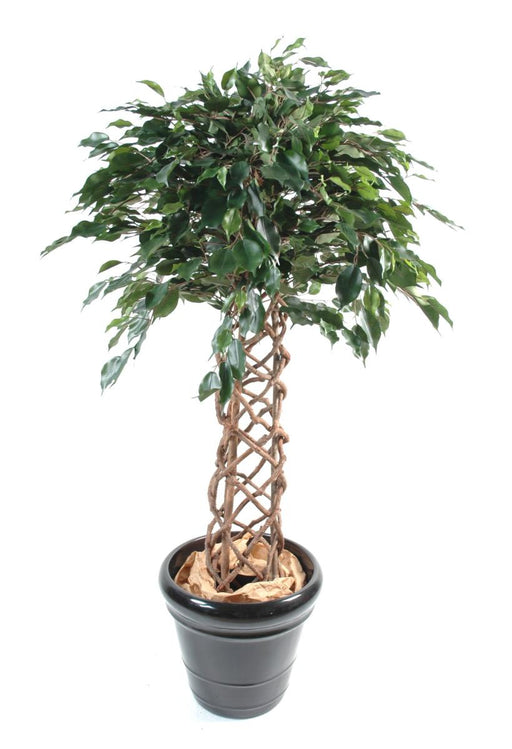 Ficus Artificiale Pianta Da Appartamento Verde 170 Cm