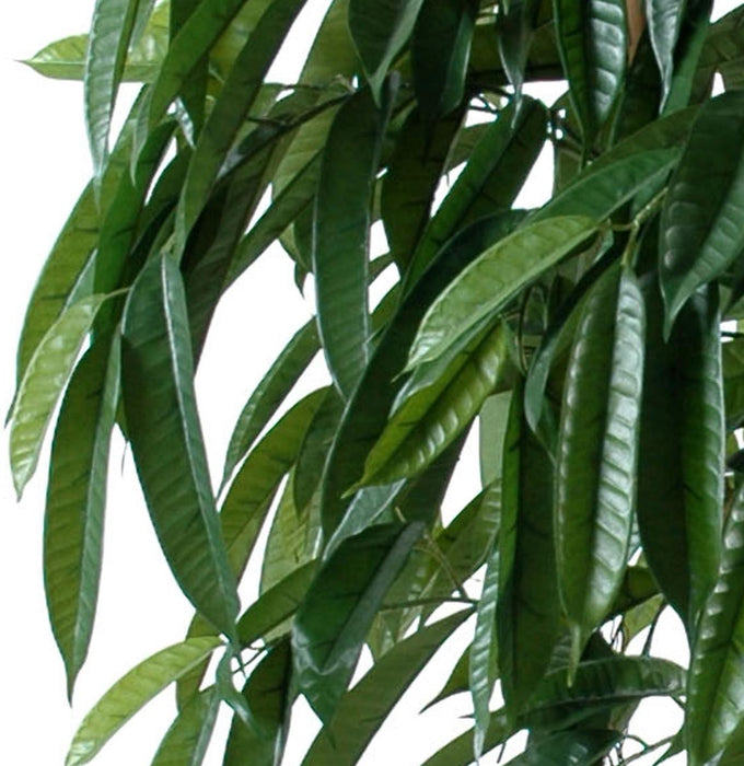 Ficus Artificiale Pianta Da Interno Verde 180 Cm