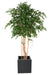 Ficus Artificiale Pianta Da Interno Verde 260 Cm