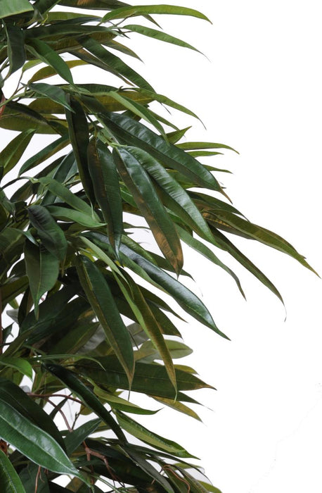 Pianta Da Interno Verde Artificiale Ficus Alii 190 Cm