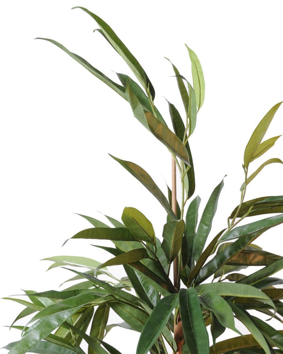 Pianta Da Interno Verde Artificiale Ficus Alii 190 Cm