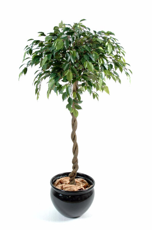 Palla Di Ficus Artificiale Natasja 140Cm Pianta Da Interno