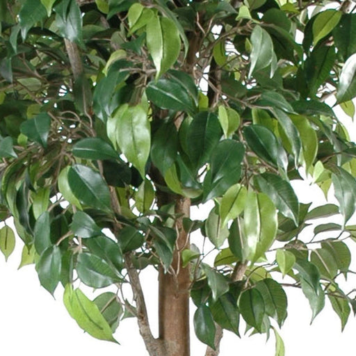 Ficus Artificiale Doppia Sfera 180 Cm Per Decorazione