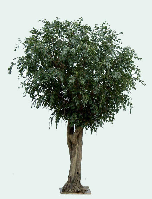 Ficus Artificiale Gigante 350 Cm Pianta Da Interno