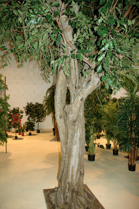 Ficus Artificiale Gigante Per Interni 500 Cm
