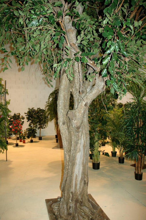 Ficus Artificiale Gigante Per Interni 500 Cm
