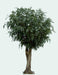 Ficus Artificiale Gigante Per Interni 500 Cm