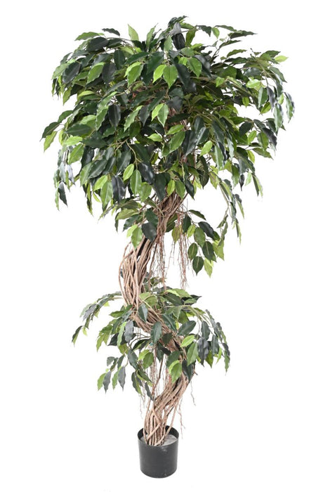 Pianta Da Interno Artificiale Ficus Lianas 180 Cm