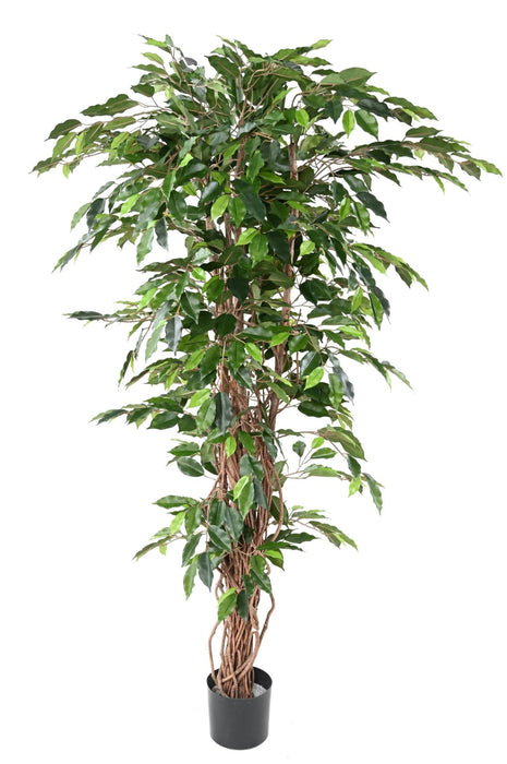 Pianta Da Interno Verde Artificiale Ficus Lianas 180 Cm