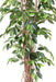 Ficus Lianas Artificiale Pianta Da Interno Verde 210 Cm
