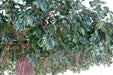 Ombrello Artificiale Ficus Lianas 320 Cm Pianta Da Interno