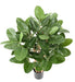 Ficus Audrey Artificiale 100Cm In Vaso Decorativo