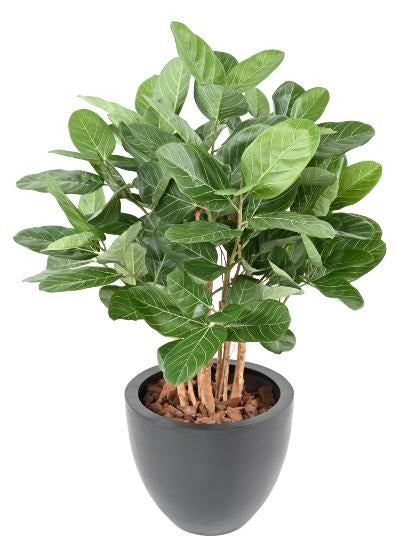 Ficus Audrey Artificiale 100Cm In Vaso Decorativo