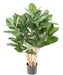 Ficus Audrey Artificiale 100Cm In Vaso Decorativo
