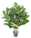 Ficus Audrey Artificiale 100Cm In Vaso Decorativo
