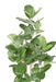 Pianta Da Interno Artificiale Ficus Audrey 150 Cm