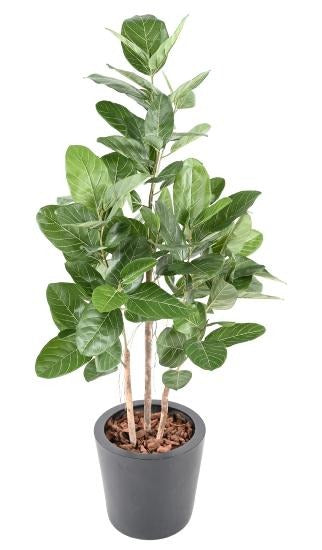 Pianta Da Interno Artificiale Ficus Audrey 150 Cm
