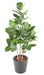 Pianta Da Interno Artificiale Ficus Audrey 150 Cm