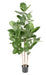 Pianta Da Interno Artificiale Ficus Audrey 150 Cm