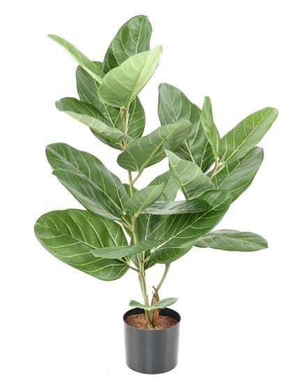 Pianta Da Interno Artificiale Ficus Audrey 62 Cm