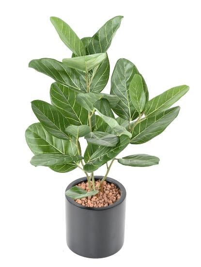 Pianta Da Interno Artificiale Ficus Audrey 62 Cm