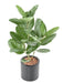 Pianta Da Interno Artificiale Ficus Audrey 62 Cm