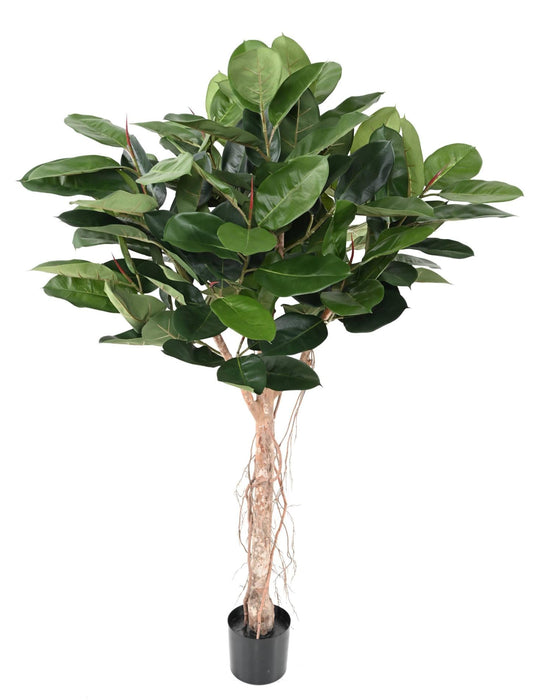 Ficus Elastica Artificiale Per Decorazione Interni 160Cm