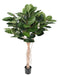Ficus Elastica Artificiale Per Decorazione Interni 160Cm