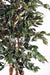 Pianta Da Interno Artificiale Ficus Exotica H.210Cm