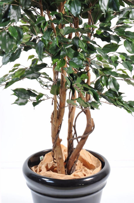 Pianta Da Interno Artificiale Ficus Exotica H.210Cm