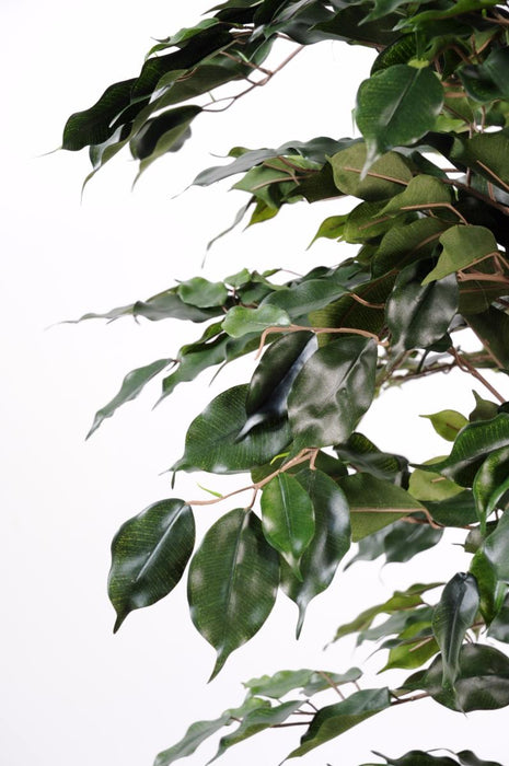 Pianta Da Interno Artificiale Ficus Exotica H.210Cm