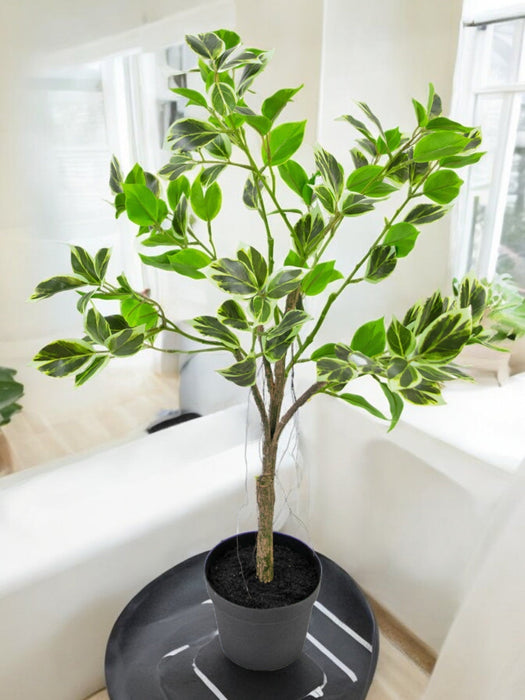Ficus Henryi - Pianta Verde Artificiale