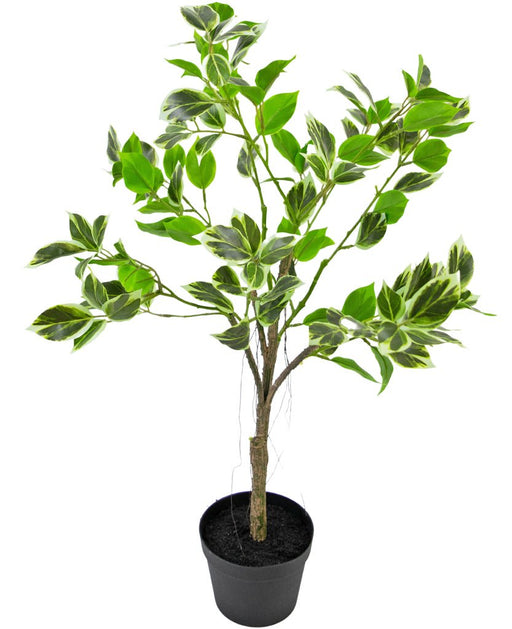 Ficus Henryi - Pianta Verde Artificiale