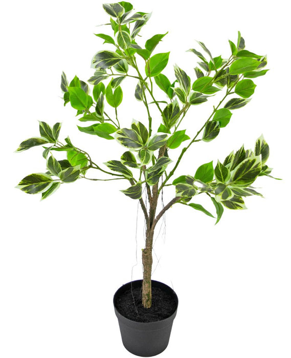 Ficus Henryi - Pianta Verde Artificiale