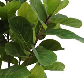 Ficus Lyrata - Albero Artificiale