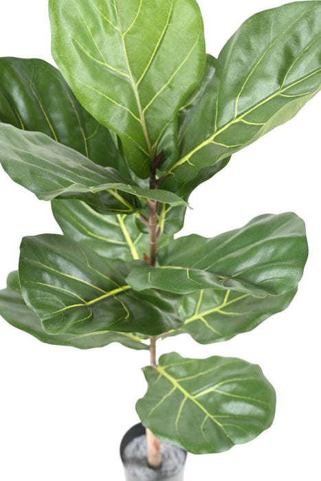 Ficus Lyrata Artificiale 100Cm Verde Per Interni