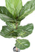 Ficus Lyrata Artificiale 100Cm Verde Per Interni