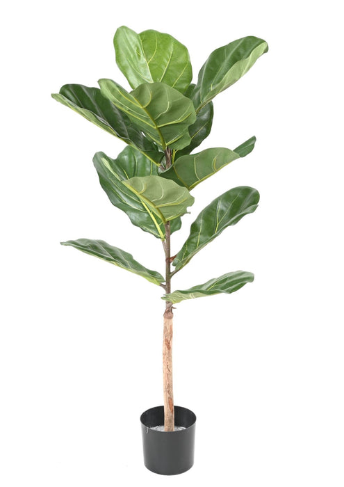 Ficus Lyrata Artificiale 100Cm Verde Per Interni