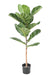 Ficus Lyrata Artificiale 100Cm Verde Per Interni