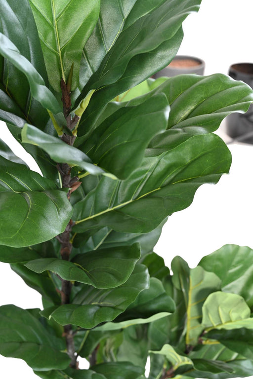 Pianta Da Interno Artificiale Ficus Lyrata 130 Cm