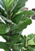 Pianta Da Interno Artificiale Ficus Lyrata 130 Cm