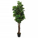 Ficus Lyrata Artificiale 180 Foglie 150 Cm Verde